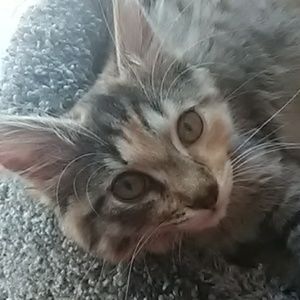 Meet your Posher, Maili